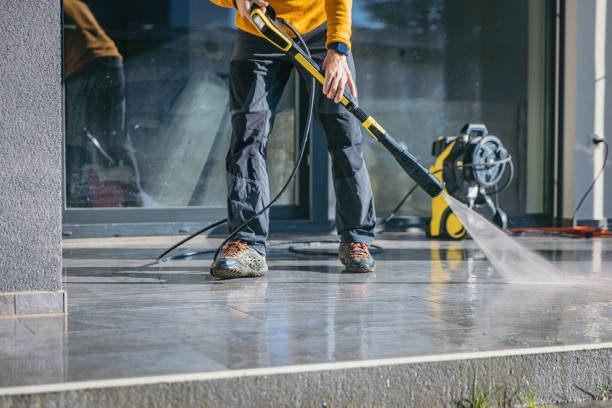 Best Fence Cleaning  in Lemont, IL